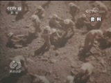 ̸ 20180802 д 