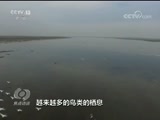 ̸ 20180131 չʾ