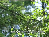 ̸ 20180314 ʱ