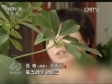 ̸ 20150911 ƭӶϲ