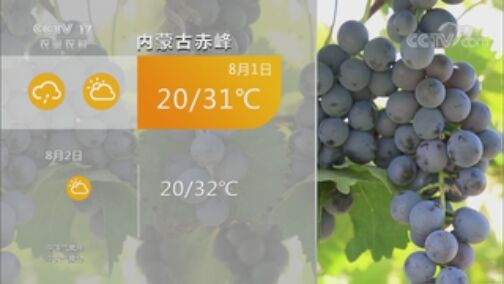 ũҵ 20200731 13:24