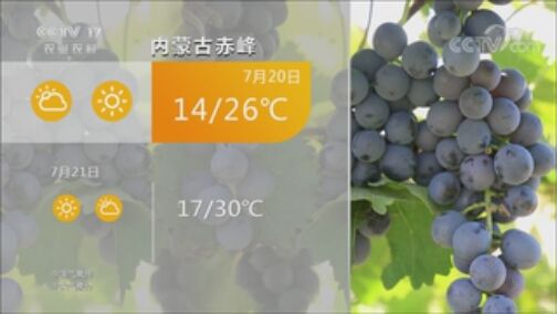 ũҵ 20200719 13:24