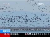 30 20161101 Ƶ