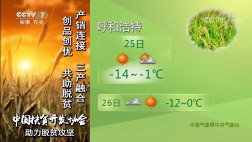 ũҵ 20190125 06:00