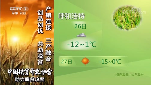ũҵ 20190126 06:00