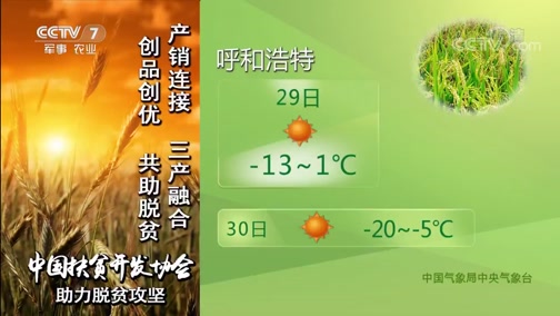 ũҵ 20190129 06:00