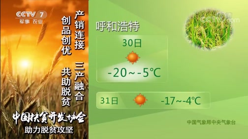 ũҵ 20190129 15:13