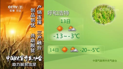 <b>ũҵ 20190113 06:00</b>