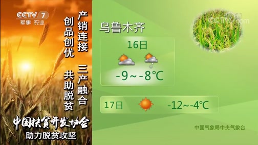 ũҵ 20190116 06:00