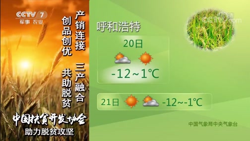 ũҵ 20181220 06:00
