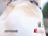 ˵ 20170829 Ȯ