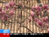  20160409 07:00 