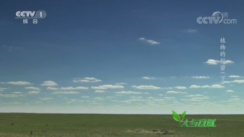 Ȼ 20200731 ֲ
