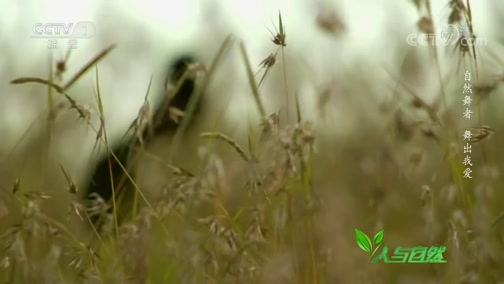 Ȼ 20191112 Ȼ-