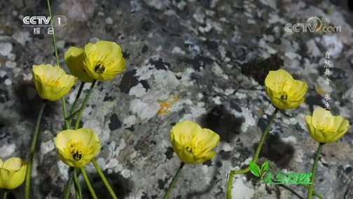Ȼ 20191113 Ȼ-
