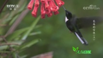 Ȼ 20181031 ʹ