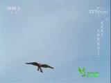 Ȼ 20180722 -