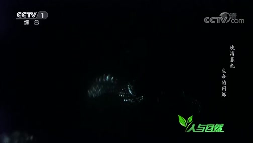 Ȼ 20191021 Ͽĺɫ 