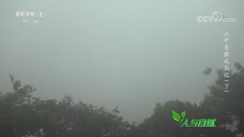Ȼ 20190607 ɽä