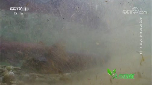 Ȼ 20190709 觺ӵ