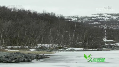 Ȼ 20190325 -ŷ
