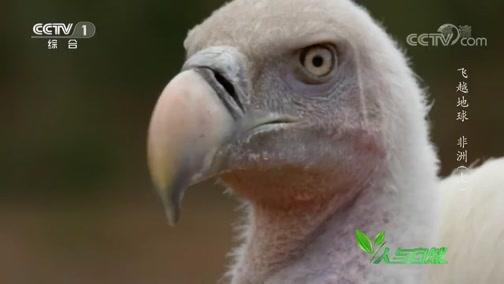 Ȼ 20190327 Խ-
