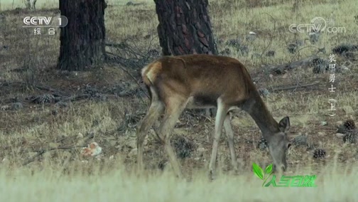 Ȼ 20190406 װʿ