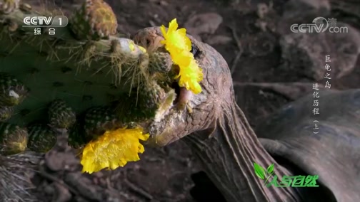 Ȼ 20190418 ޹֮-