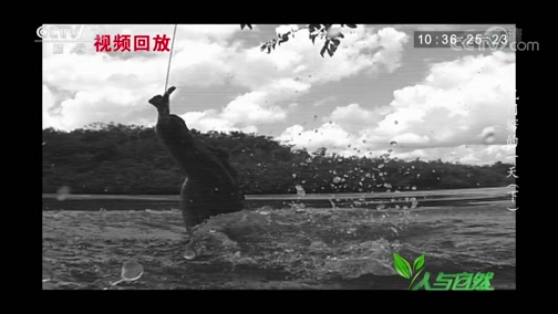 Ȼ 20181212 һ