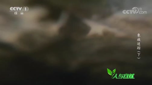 Ȼ 20190105 ٣