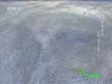 Ȼ 20180730 -