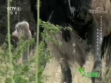 Ȼ 20180804 ˼