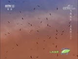 Ȼ 20180503 Խ-