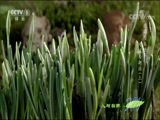 Ȼ 20180505 ¹Ұ