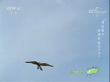 Ȼ 20180513 -