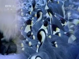 Ȼ 20180514 -