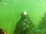 Ȼ 20180530 Ұ