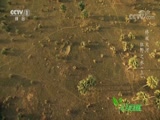 Ȼ 20180615 ռ-