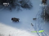 Ȼ 20180212 -