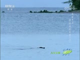 Ȼ 20180219 ̫ƽ-