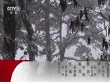 Ȼ 20180307 Ⱥ