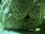 Ȼ 20180312 󱤽-