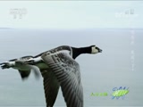 Ȼ 20180315 Խ-