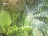 Ȼ 20180316 Խ-