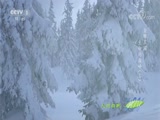 Ȼ 20171106 -