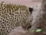 Ȼ 20171209 ʳߵĹ