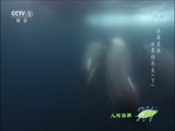 Ȼ 20171221 -