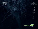 Ȼ 20180103 ԭ֮-