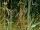 Ȼ 20180110 ֣֮
