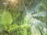 Ȼ 20180115 ̽½